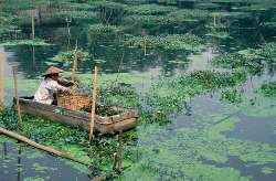 Sur un bateau au Laos