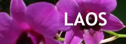 Laos
