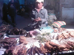 Vente de Barbecue dans la rue pres de Wat Simuang