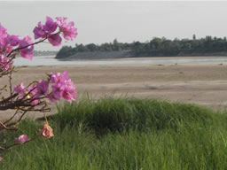 Vue sur le Mekong